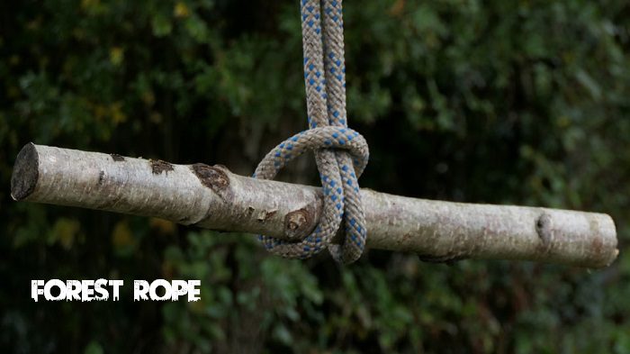 forest rope