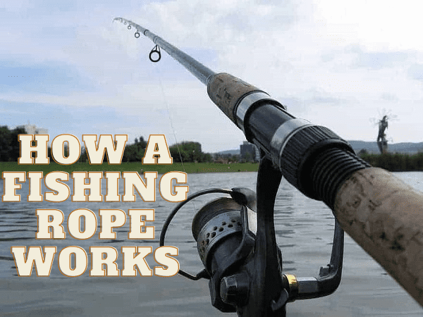 How A Fishing Rope Works: The Basics Of A Fishing Rope