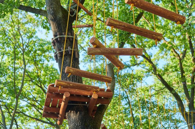 How to get a rope high in a tree?