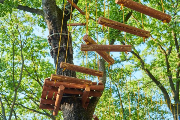 How to get a rope high in a tree