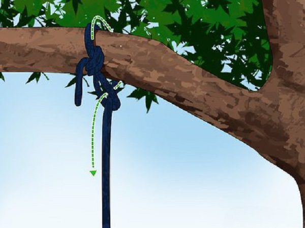 How to hang a rope swing from a tall tree?