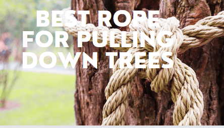 Best rope for pulling down trees