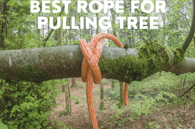Best rope for pulling tree
