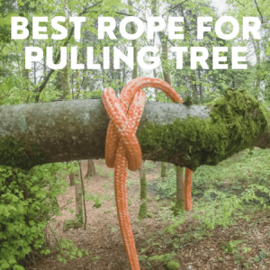 Best rope for pulling tree