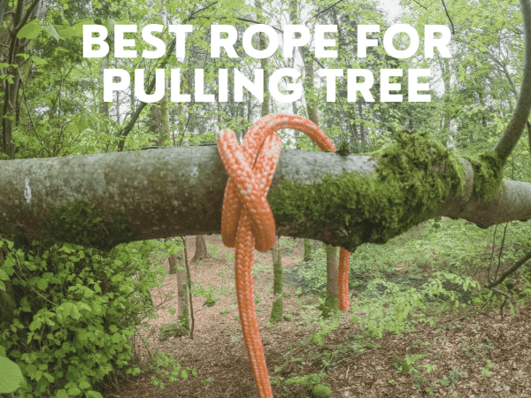 Best rope for pulling tree