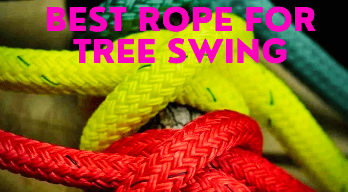 Best rope for tree swing