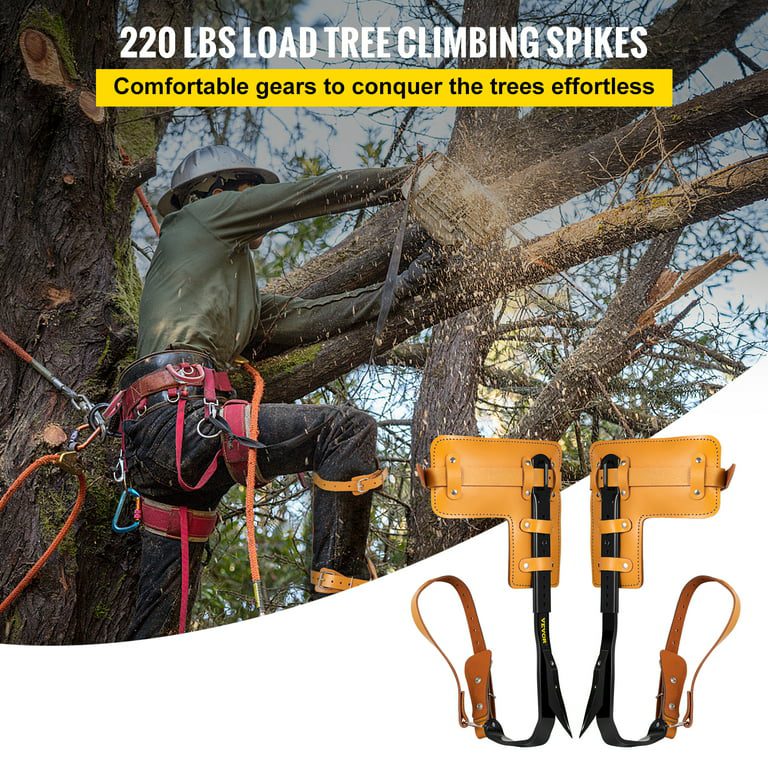 How to Climb a Tree With a Rope