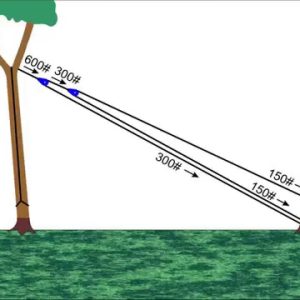 Pull Tree