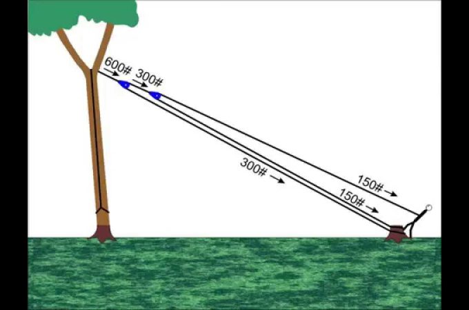 Rope for Pulling Down Trees: Strength Meets Safety