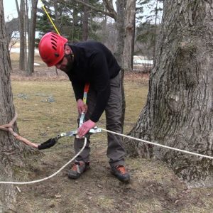 Rope Puller for Trees