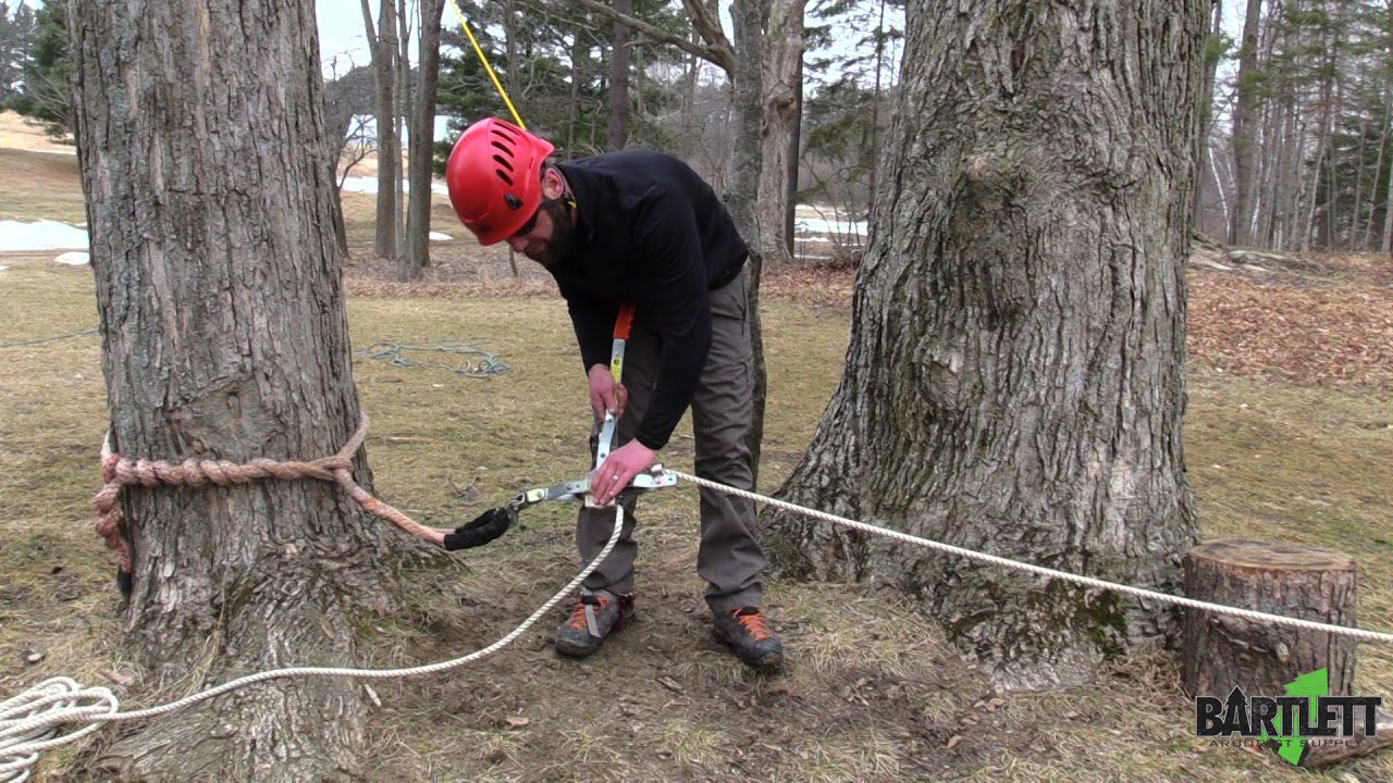 Rope Puller for Trees