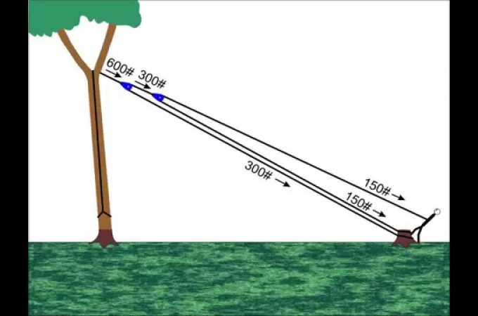 Rope Used for Cutting down Trees