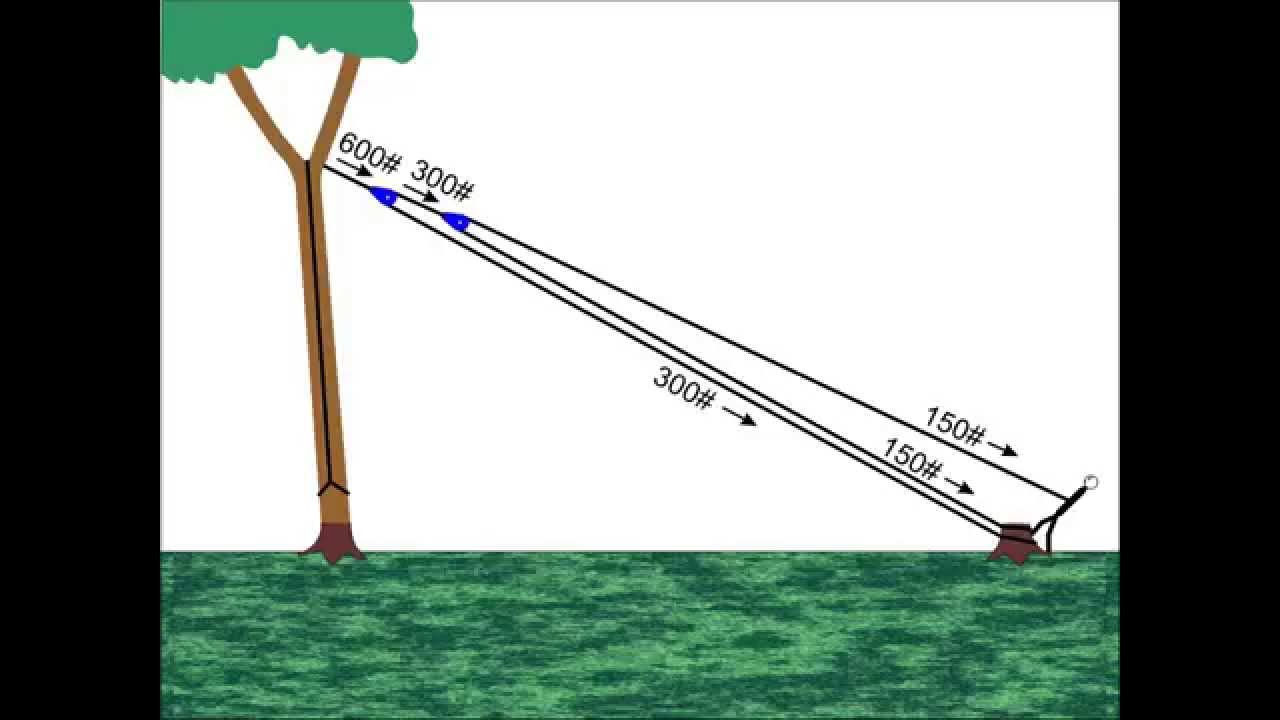 Rope Used for Cutting down Trees