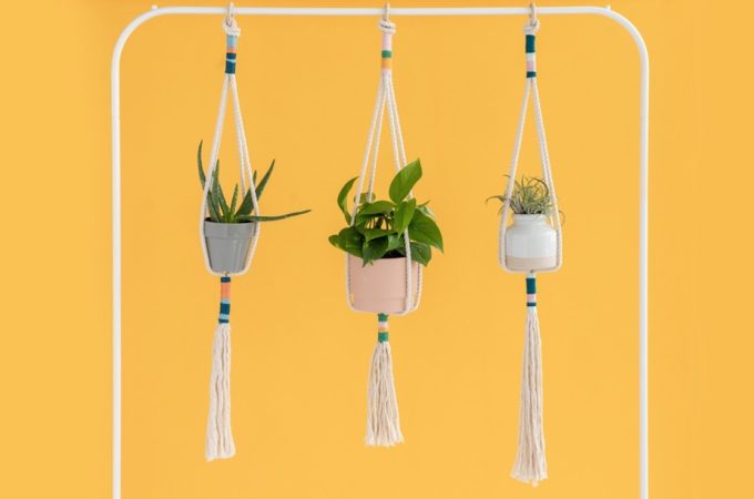 Elevate Your Greens: A Comprehensive Guide to DIY Hanging Plant Rope