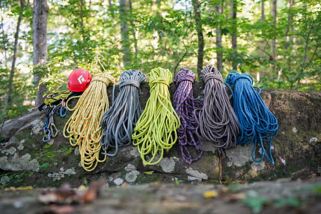 best exercise ropes