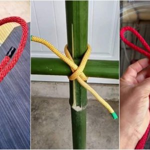 rope for your project or activity