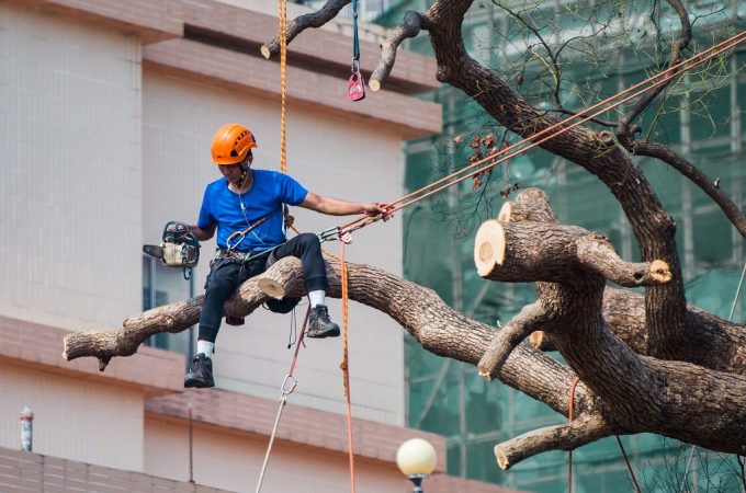 Can I use regular hardware store rope for tree felling