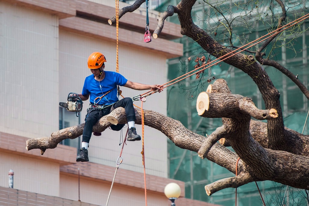Can I use regular hardware store rope for tree felling