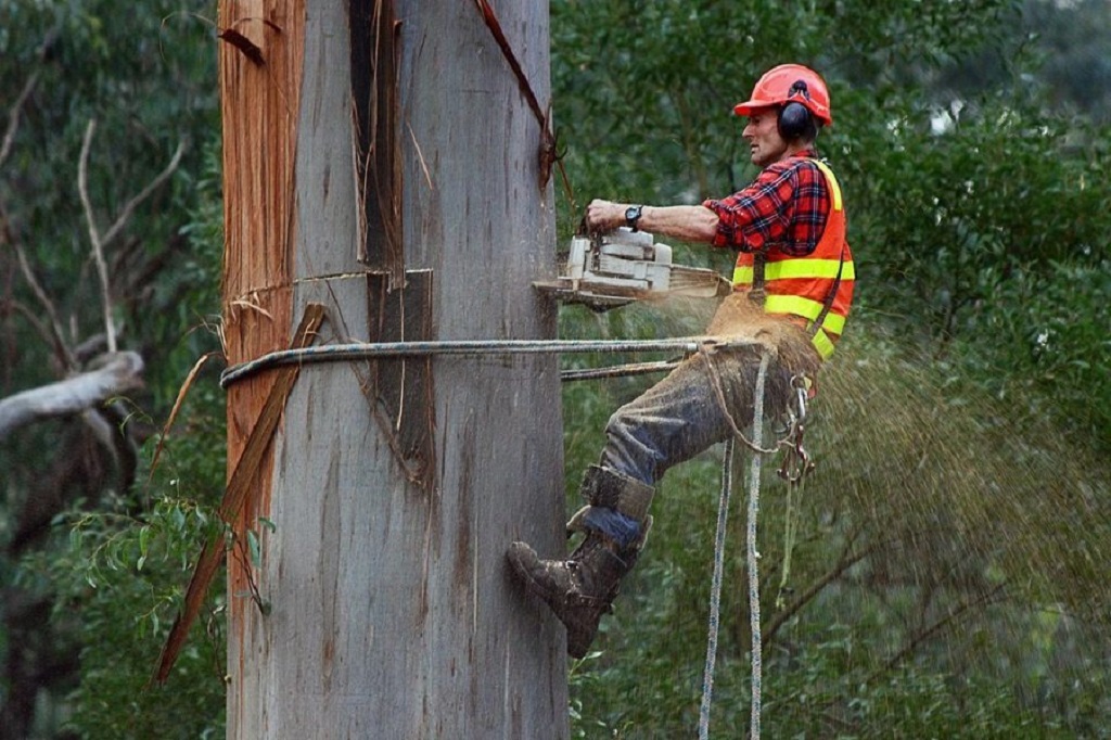 How thick should a rope be for pulling a stump