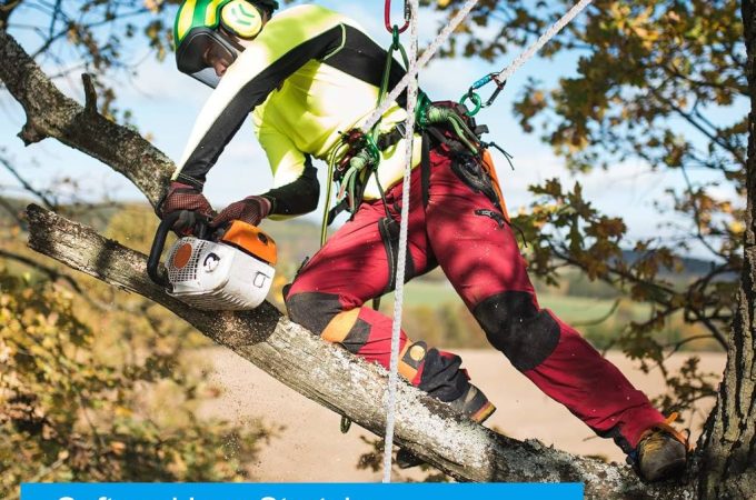 Tree rigging bull rope for arborists, ideal for pulling trees and outdoor knot work