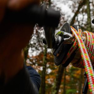 Sterling Wild Bull rigging rope in use for arbor tree work