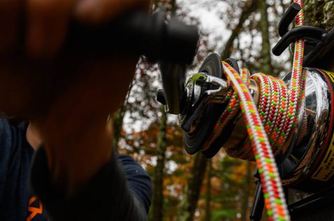 Sterling Wild Bull rigging rope in use for arbor tree work
