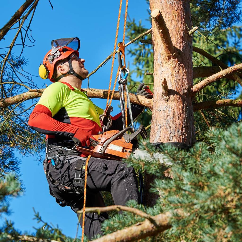 Heavy-duty polyester tree rope in bright orange, designed for pulling, swings, and knots.