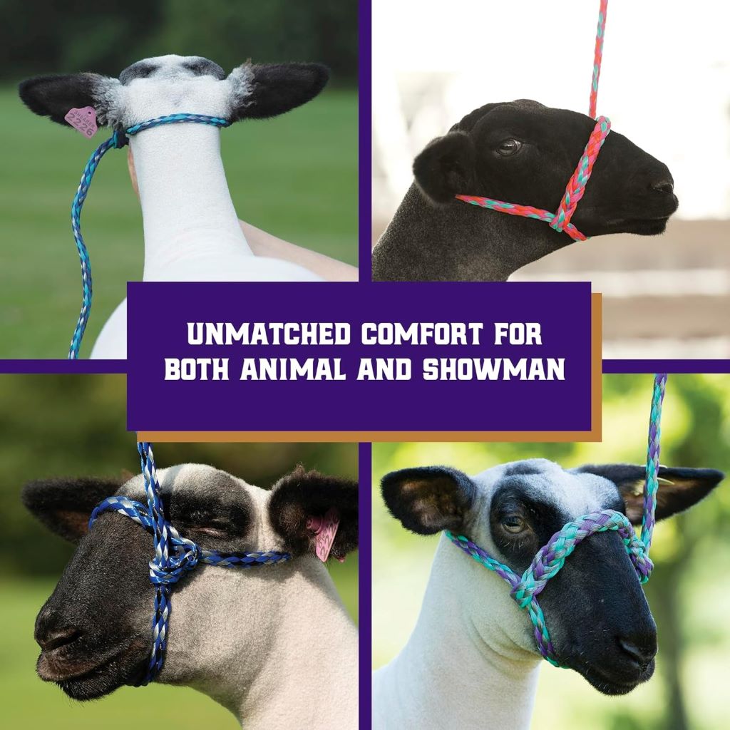 Adjustable braid rope halter for sheep and goat handling and showmanship