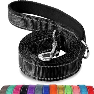 Joytale 6FT heavy duty dog leash with reflective nylon and padded handle for large dogs