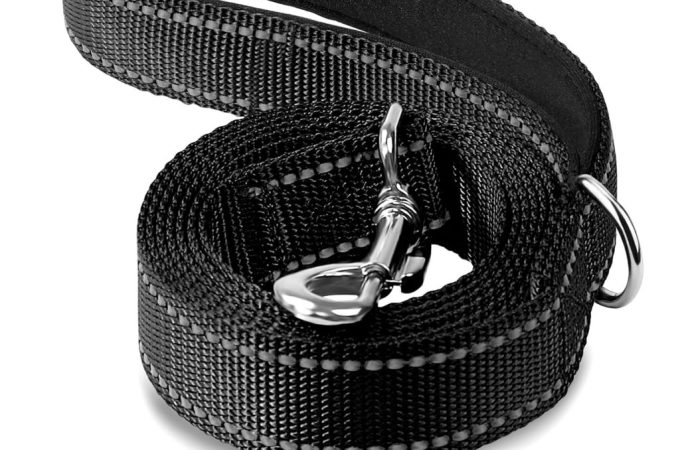 Joytale 6FT heavy duty dog leash with reflective nylon and padded handle for large dogs