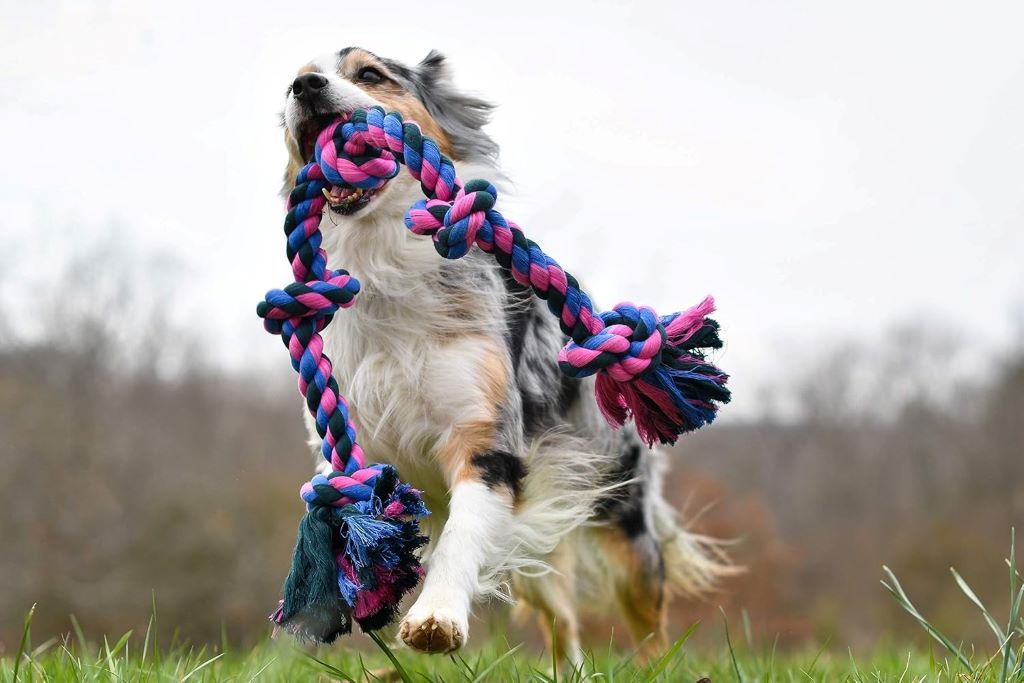 Interactive rope tug toy promoting fun and dental health for pets