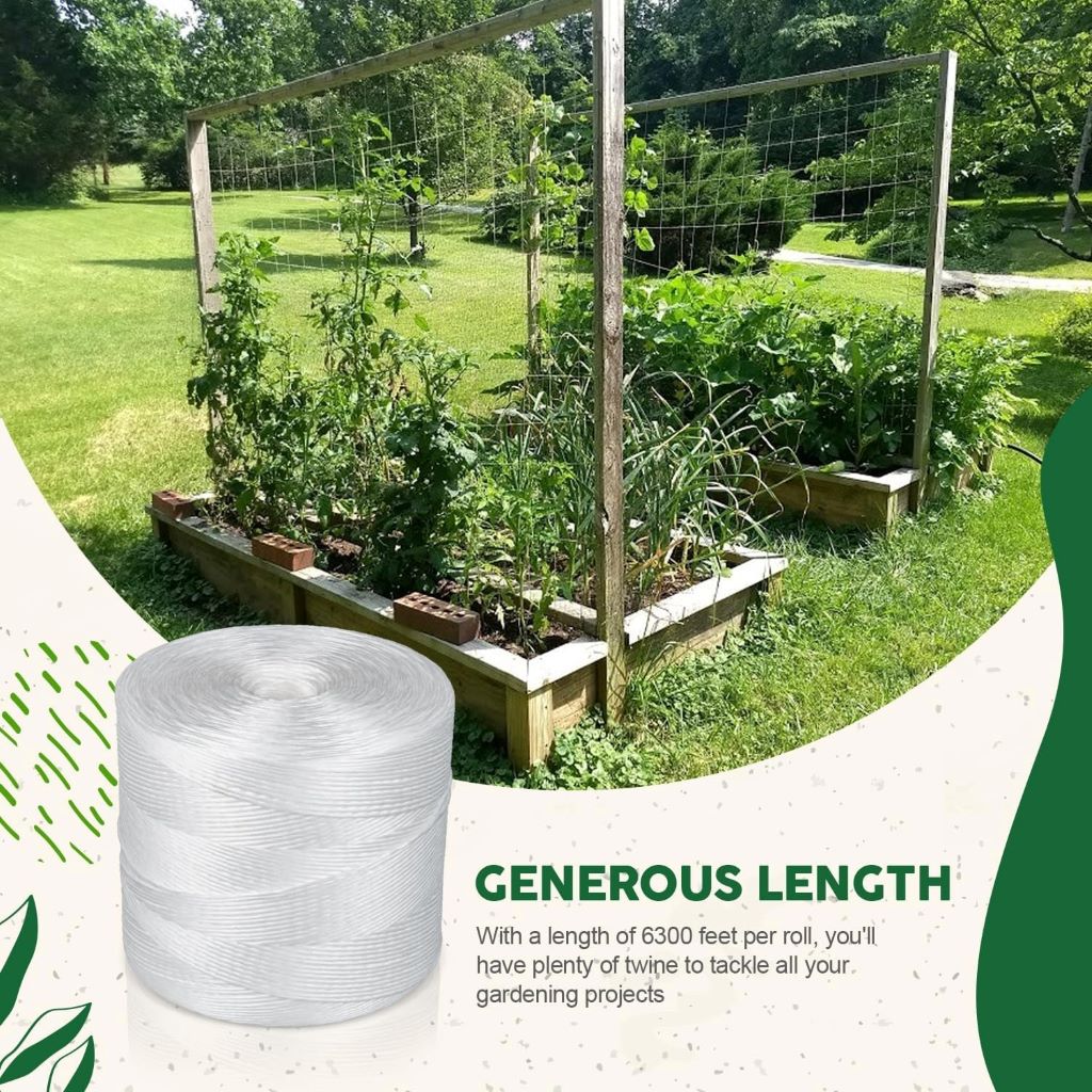 Long roll of Parkway tomato twine helping plants grow taller and produce bigger harvests.