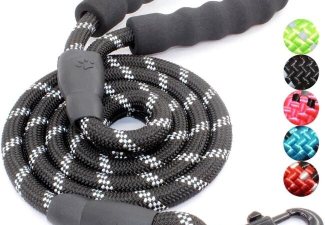 BAAPET 5FT dog leash with padded handle and reflective threads for small, medium, and large dogs