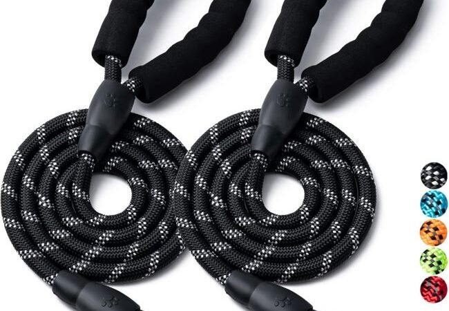 BOOMIBOO 2-pack dog leashes in black with padded handle and reflective stitching