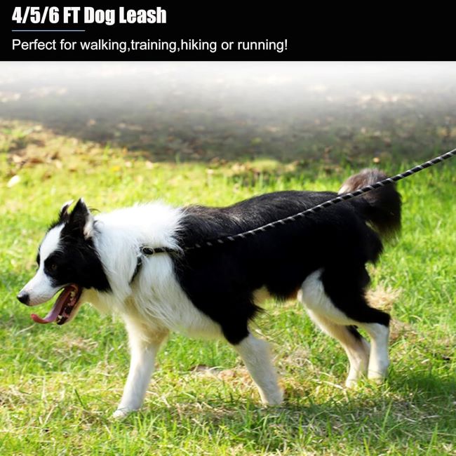 Heavy-duty nylon dog leash for small, medium, and large dogs – BOOMIBOO review