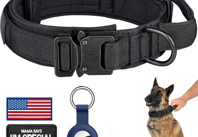 Feeko Dog Rope Toys Review: Tough Chew Toys for Large Breed Power Chewers