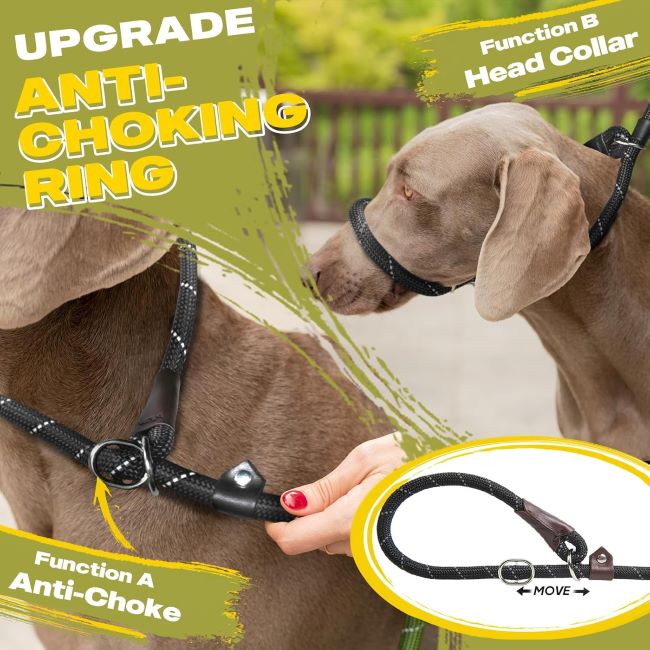 Durable Fida slip leash for dog training, reflective and comfortable for strong dogs