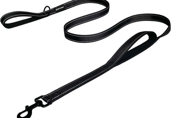 JEWOSTER Heavy-Duty Leash: Best Control for Medium And Large Dogs