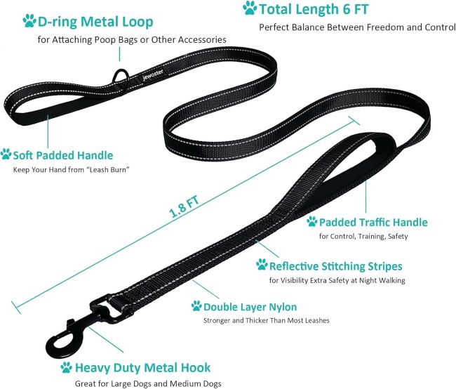 Durable two-handle dog leash designed for strong control of large breed dogs