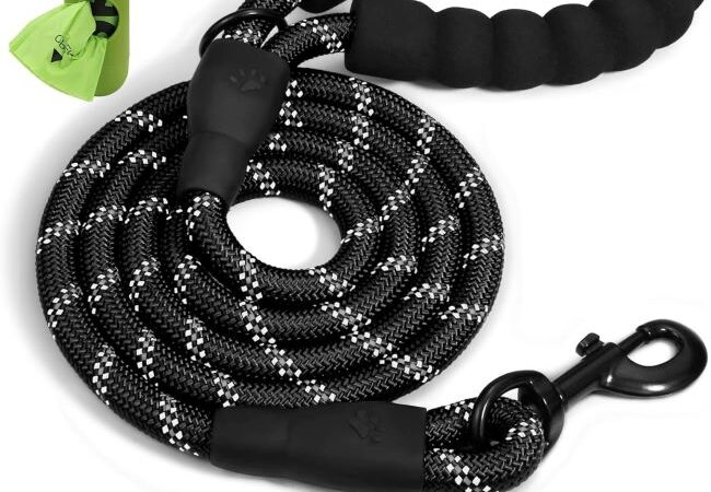 Taglory 6FT rope dog leash with padded handle and reflective threads for medium and large dogs