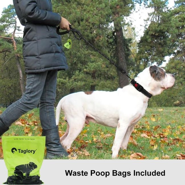 Black Taglory rope leash featuring comfortable grip and high-visibility reflective stitching