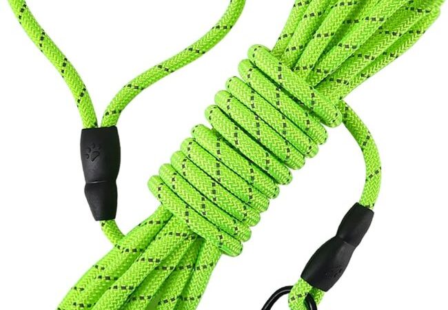 Vivifying 20ft floating dog leash with reflective rope and soft handle for outdoor training.