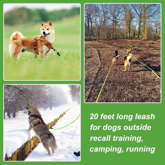 Reflective floating dog leash in green, perfect for safe outdoor activities and water use.