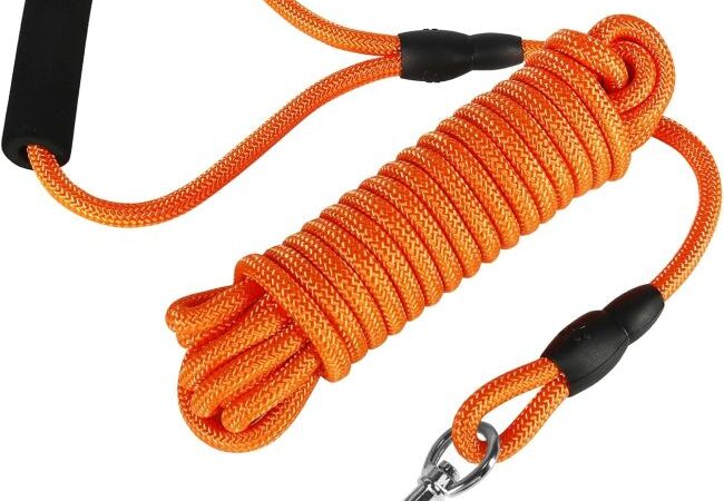Vivifying 20FT floating dog leash for hiking, beach, and outdoor adventures