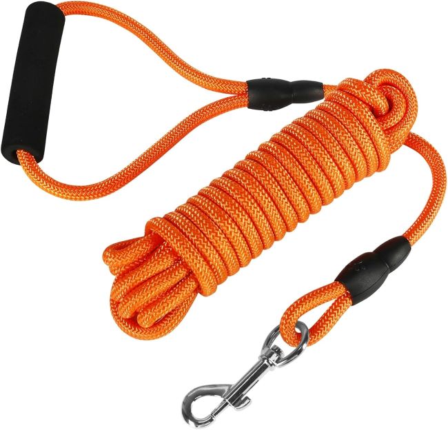 Vivifying 20FT floating dog leash for hiking, beach, and outdoor adventures
