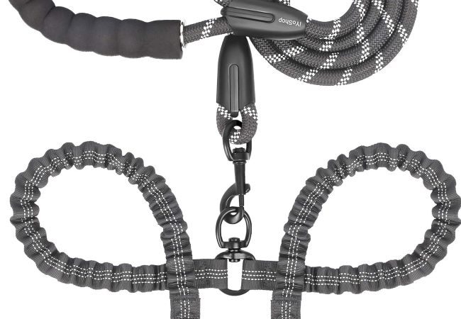 iYoShop dual dog leash with 360° swivel shown on two large dogs during a walk