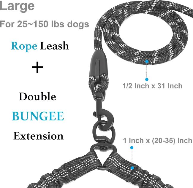 Black iYoShop dual leash demonstrating no-tangle swivel attachment for large dogs