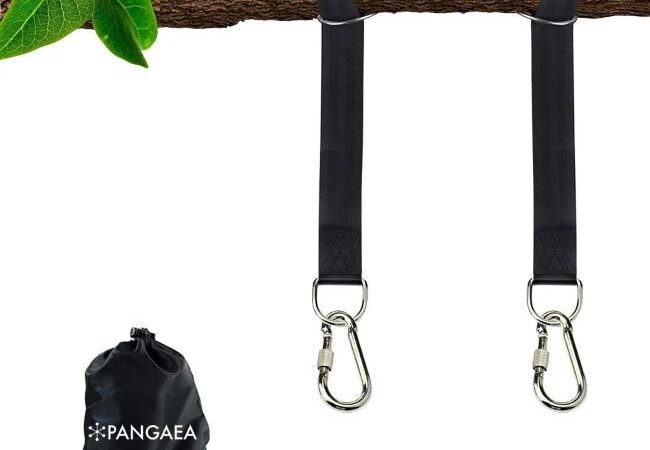 PANGAEA tree swing straps kit with safer lock carabiners and carry bag