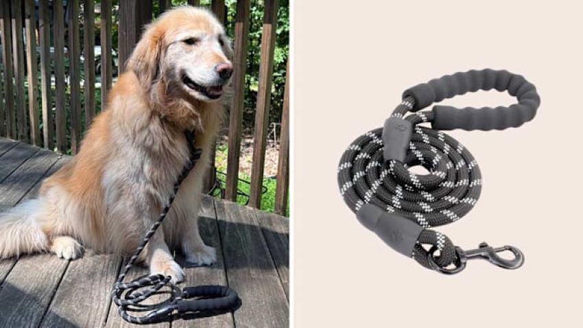 Close-up of durable braided rope dog leash with metal clip attached to collar.