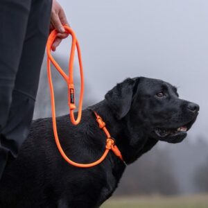 Hand holding rope leash providing better control during outdoor dog walk.